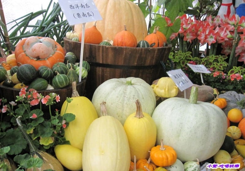 農情萬種-蔬果嘉年華館 (24).jpg 農情萬種-蔬果嘉年華館 (24).jpg