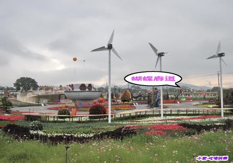臺中國際花毯節 (5).jpg 臺中國際花毯節 (5).jpg