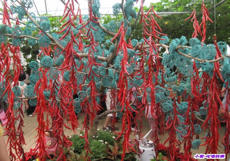 農情萬種-蔬果嘉年華館 (30).jpg 農情萬種-蔬果嘉年華館 (30).jpg