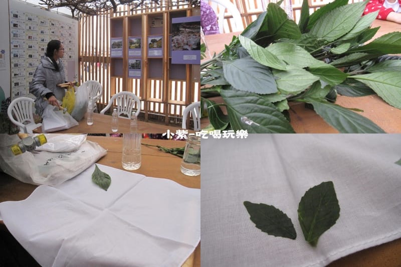 植物染.jpg 植物染.jpg