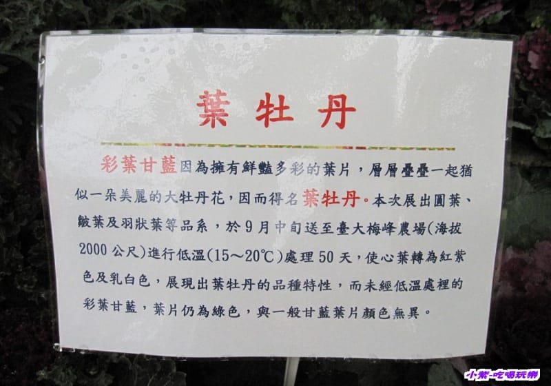 農情萬種-蔬果嘉年華館 (11).jpg 農情萬種-蔬果嘉年華館 (11).jpg