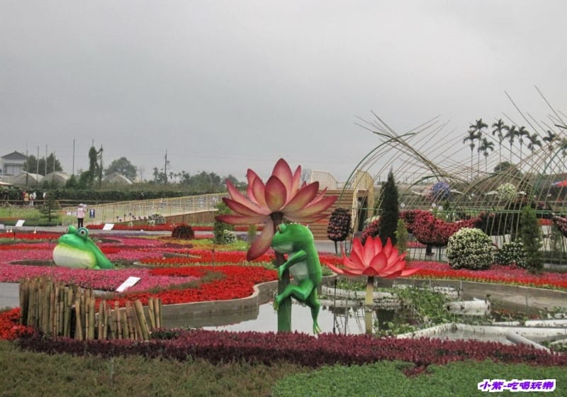 蛙ㄟ後花園1.jpg 蛙ㄟ後花園1.jpg