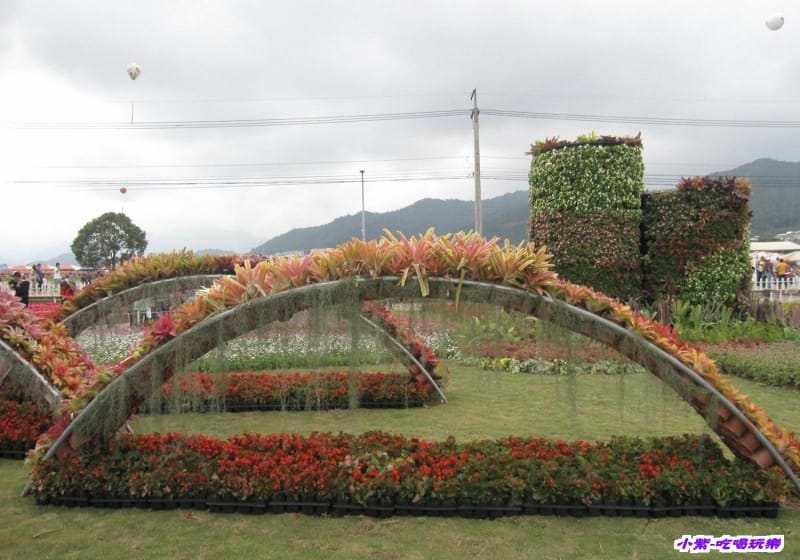 精緻草花區 (11).jpg 精緻草花區 (11).jpg