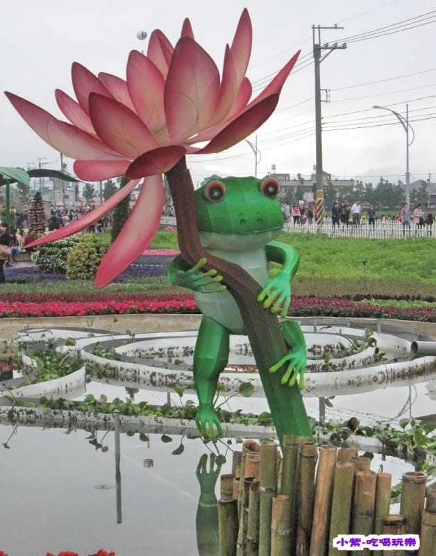 蛙ㄟ後花園.jpg 蛙ㄟ後花園.jpg