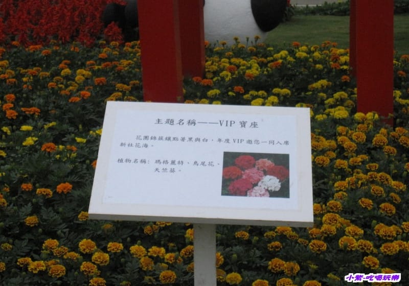 VIP寶座.jpg VIP寶座.jpg