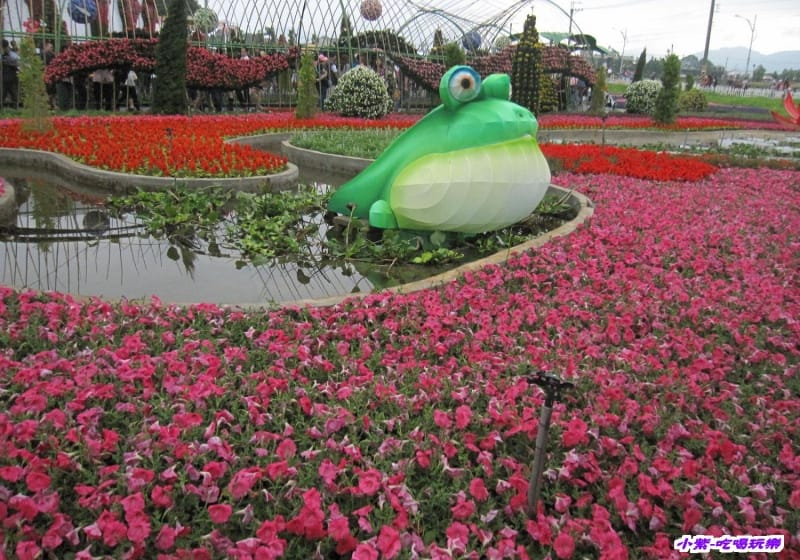 蛙ㄟ後花園 (1).jpg 蛙ㄟ後花園 (1).jpg