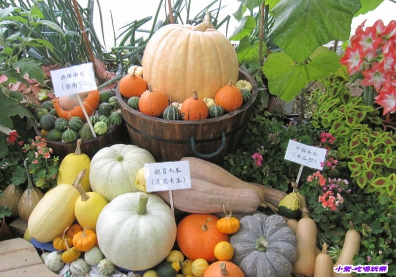 農情萬種-蔬果嘉年華館 (27).jpg 農情萬種-蔬果嘉年華館 (27).jpg