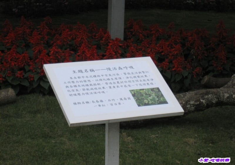 慢活森呼吸 (2).jpg 慢活森呼吸 (2).jpg