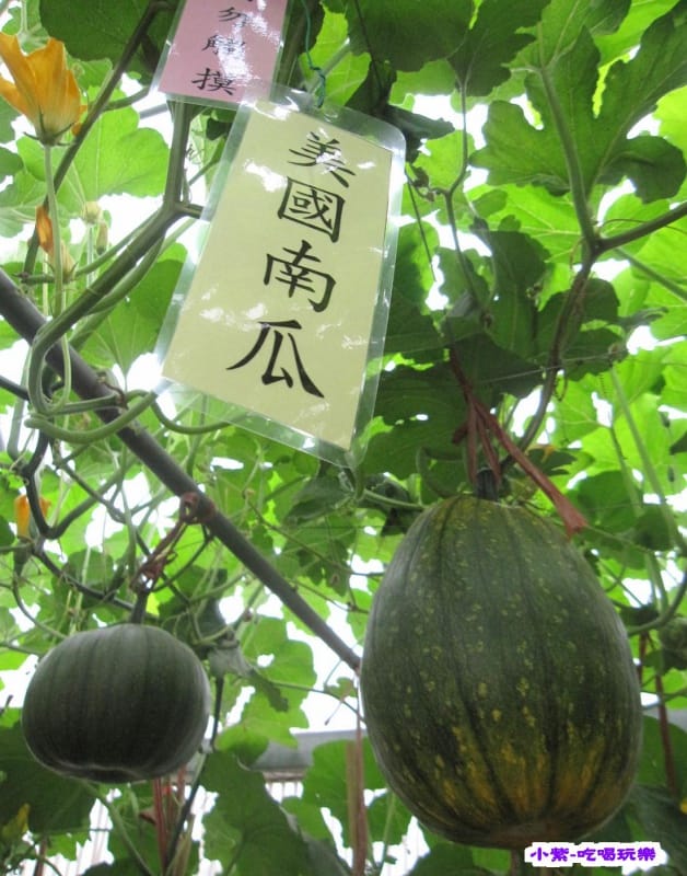 農情萬種-蔬果嘉年華館 (13).jpg 農情萬種-蔬果嘉年華館 (13).jpg