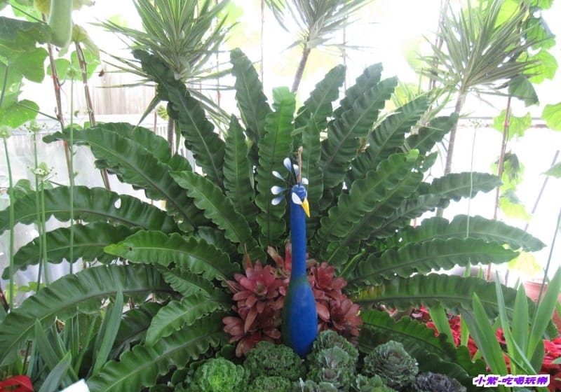 農情萬種-蔬果嘉年華館 (21).jpg 農情萬種-蔬果嘉年華館 (21).jpg