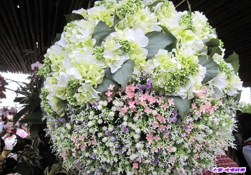 臺中國際花毯節 (15).jpg 臺中國際花毯節 (15).jpg
