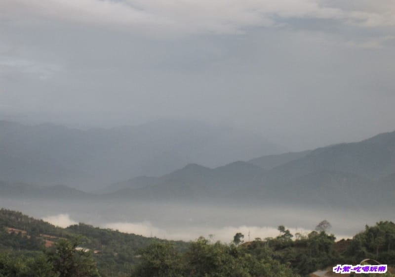 清晨雲海 (1).jpg
