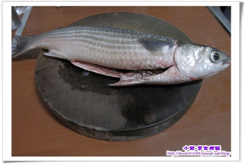 烏魚.jpg