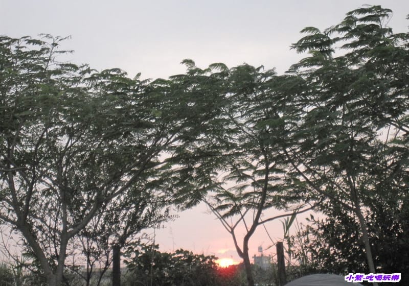 夕陽.jpg