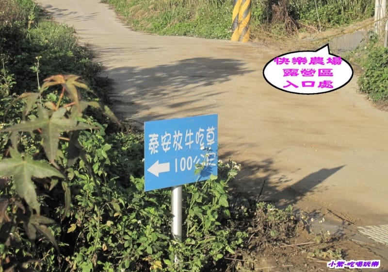 放牛吃草.jpg 放牛吃草.jpg