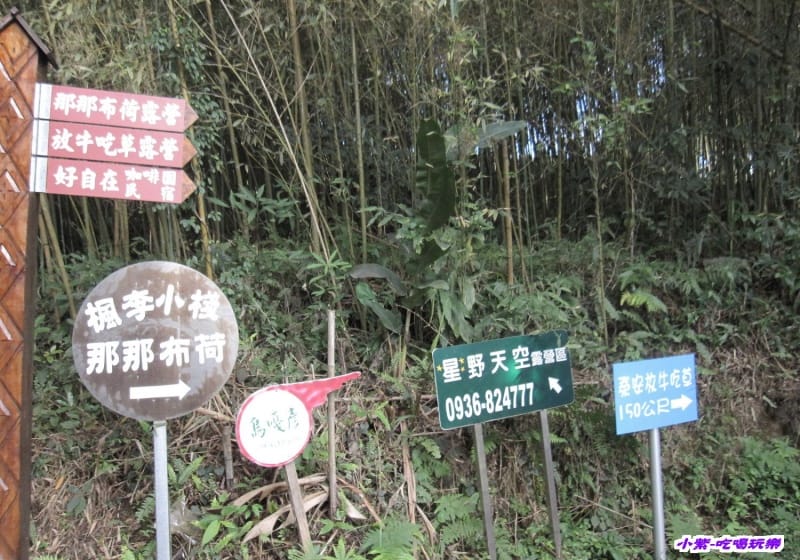右彎露營區.jpg 右彎露營區.jpg
