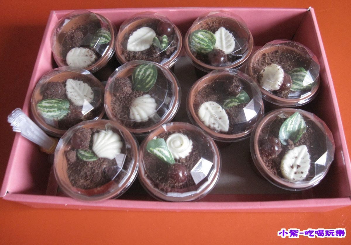 提拉米蘇盆栽蛋糕250.jpg