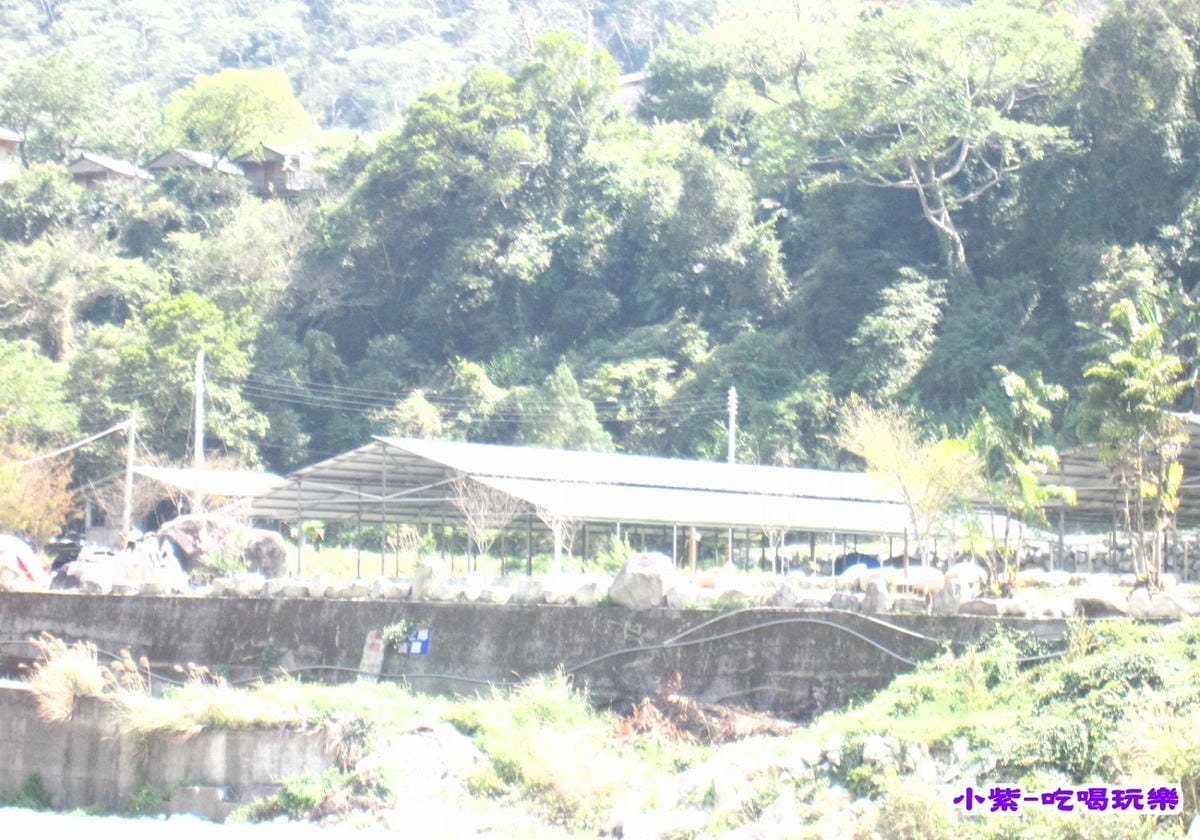 對面營地-松滋 (1).jpg