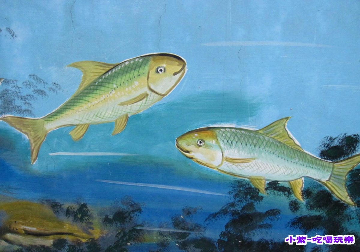 鱒魚彩繪.jpg