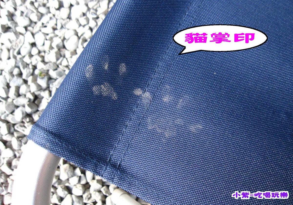 貓掌.jpg