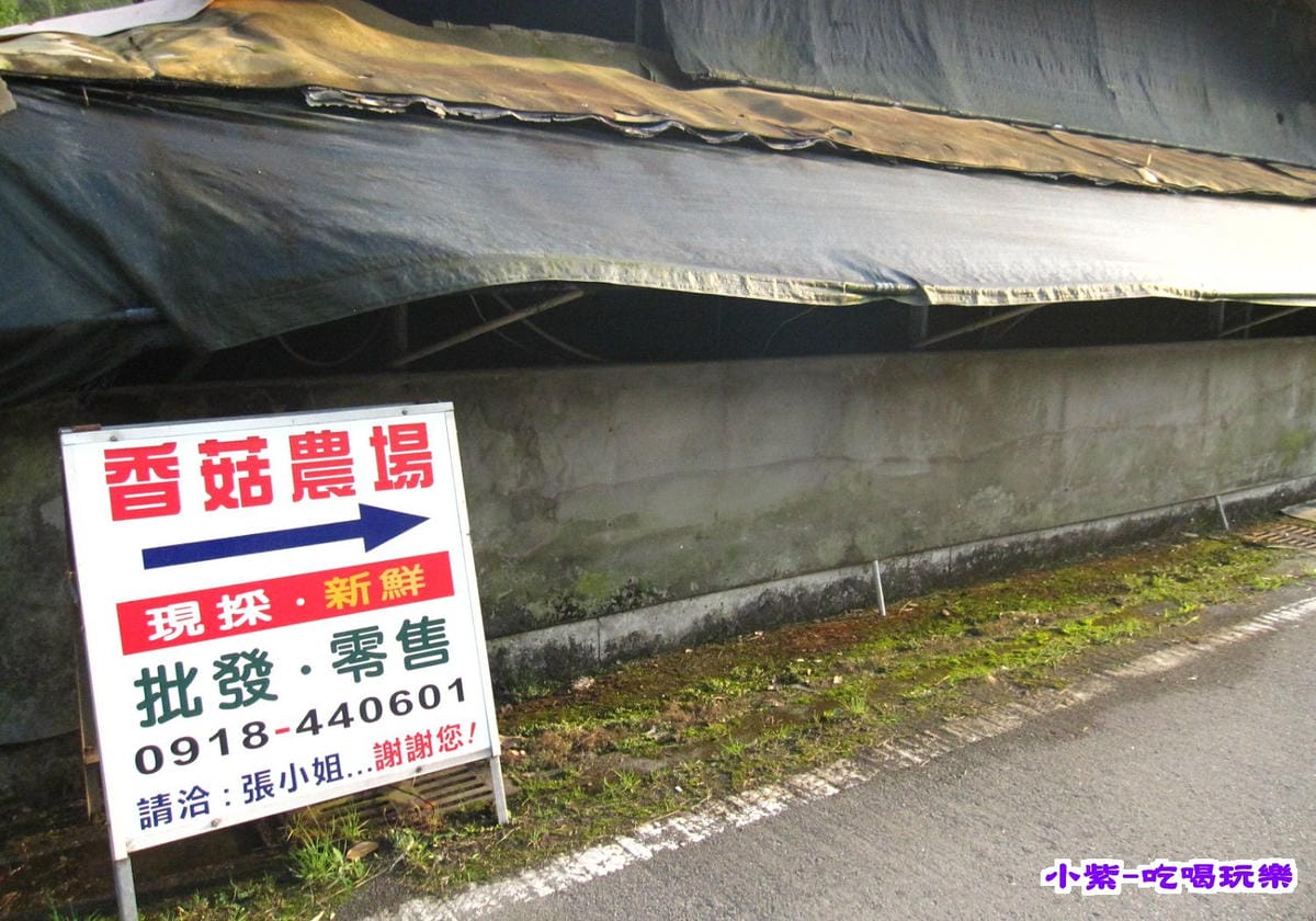 香菇農場 (4).jpg