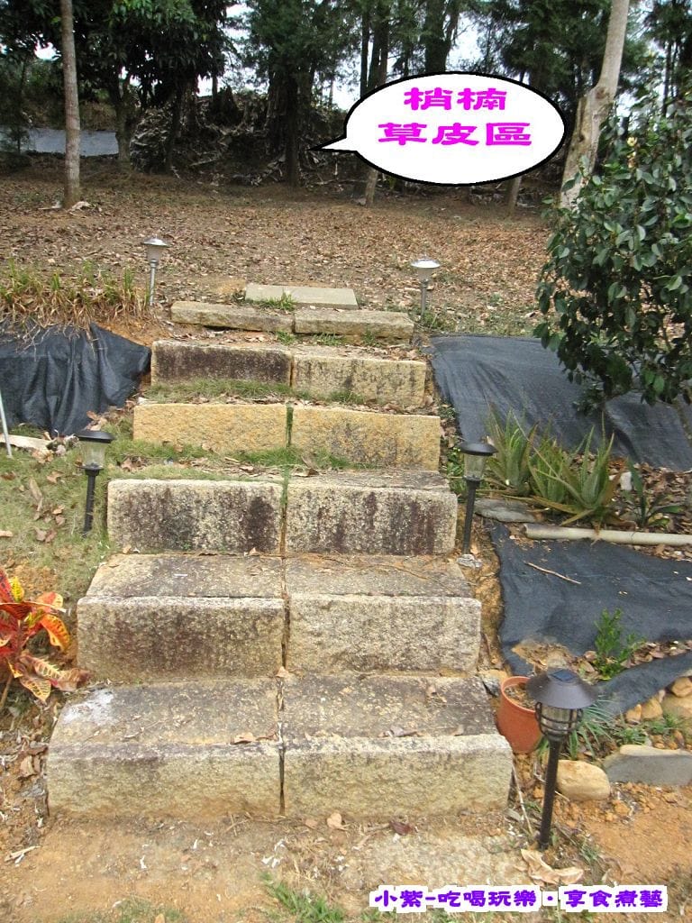 梢楠區.jpg