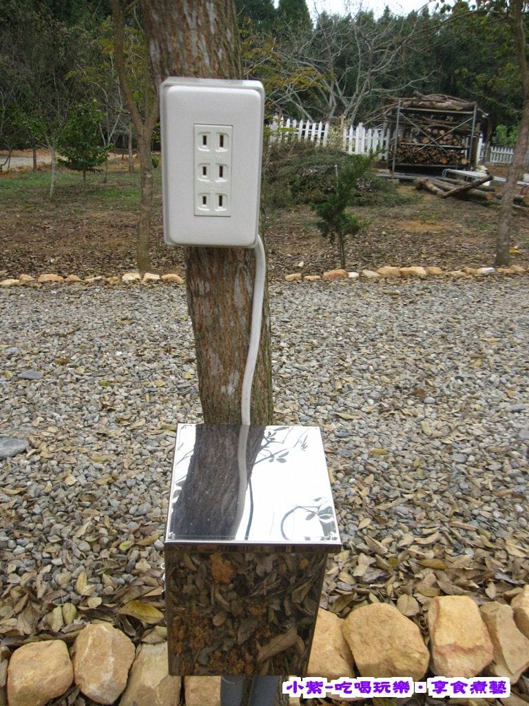下層水槽和電 (1).jpg