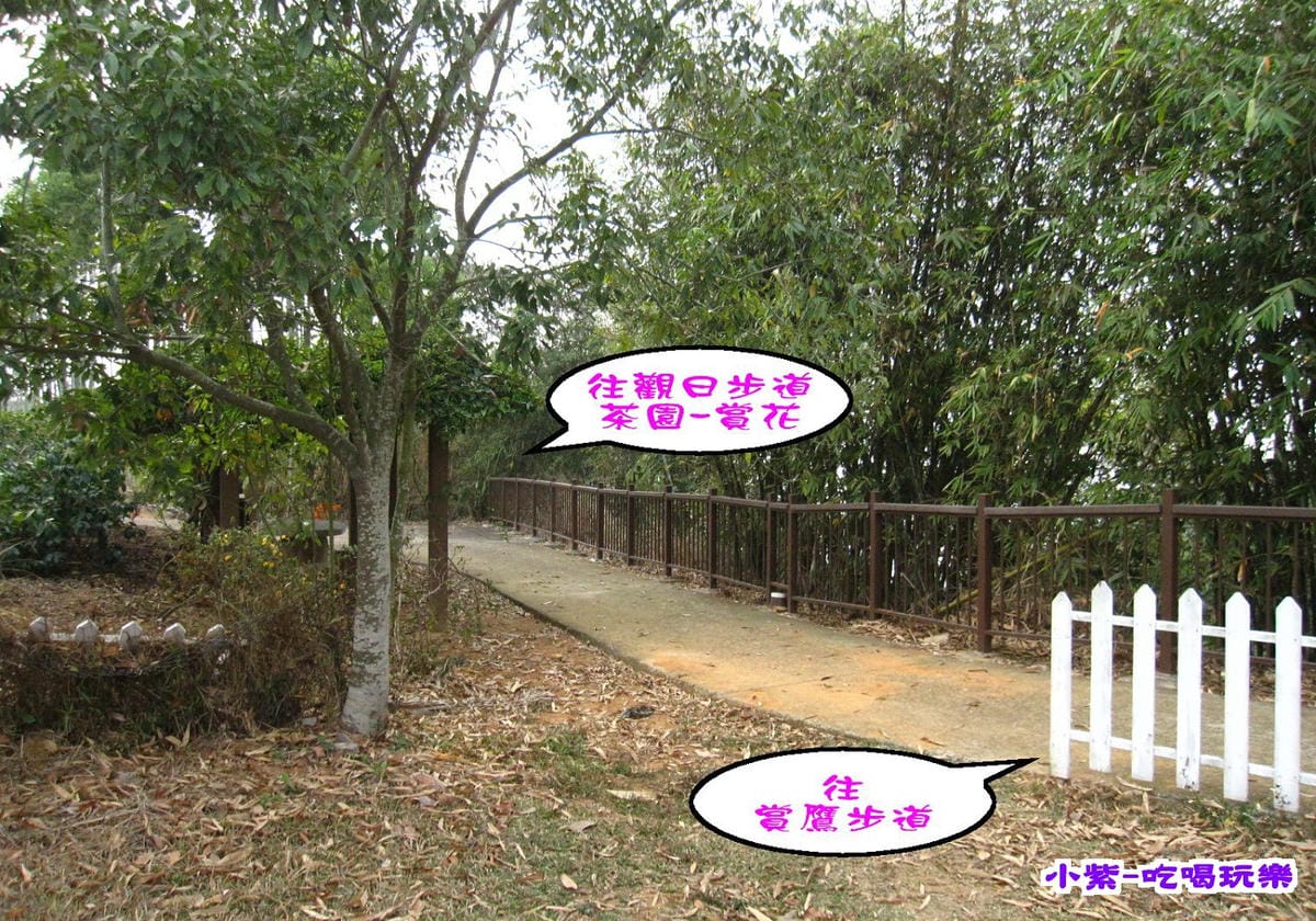 赤腳精靈後方步道賞花 (1).jpg