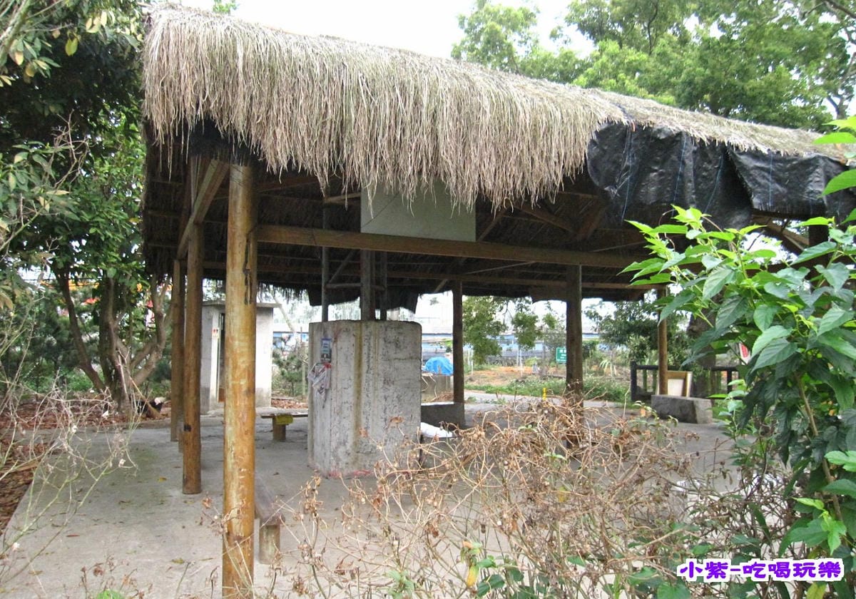 赤腳精靈後方步道賞花 (12).jpg