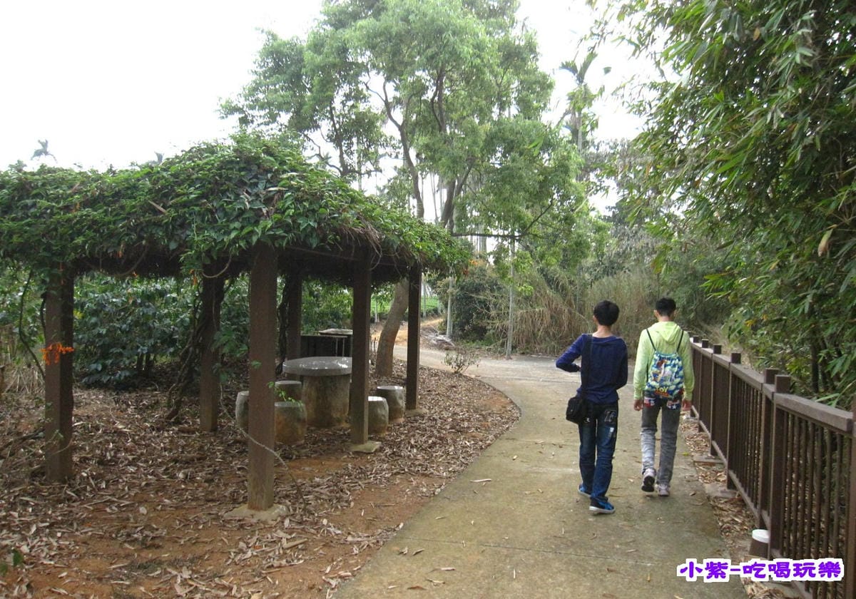 赤腳精靈後方步道賞花 (3).jpg