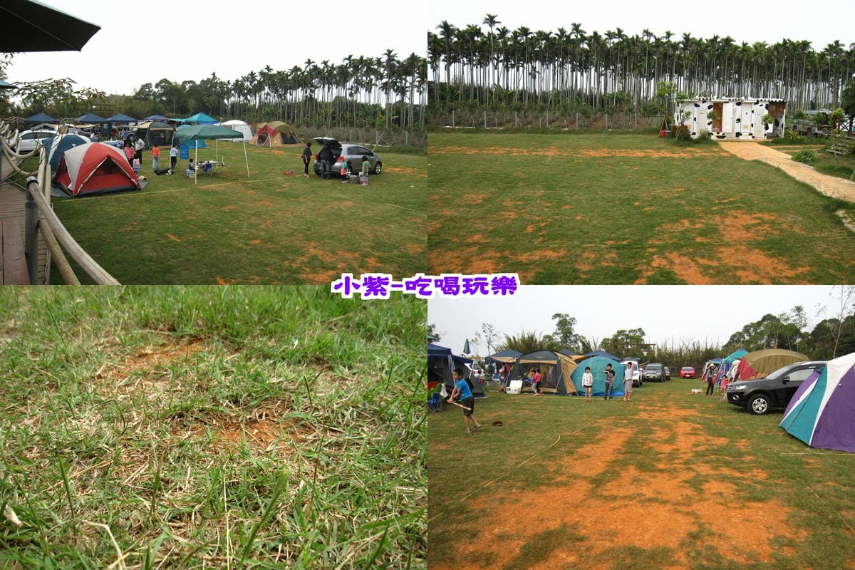 c區草皮.jpg