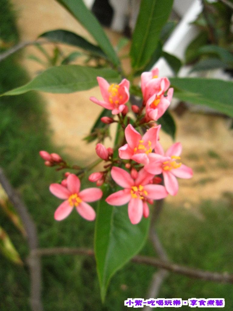 IMG_0057.jpg