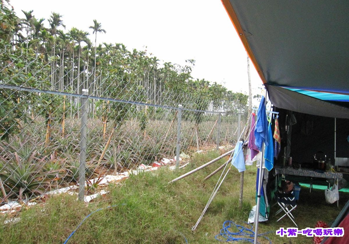 營位和鳳梨園.jpg