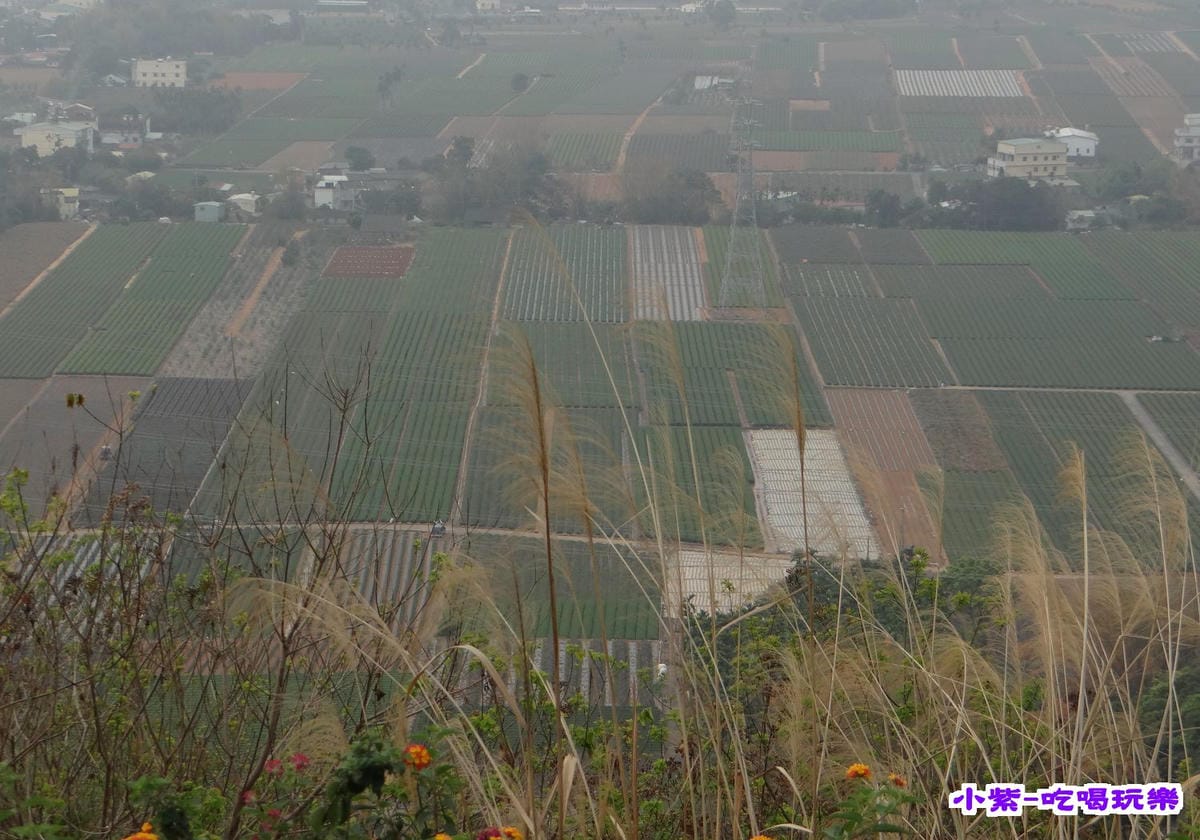 2015橫山仙境 (8).jpg