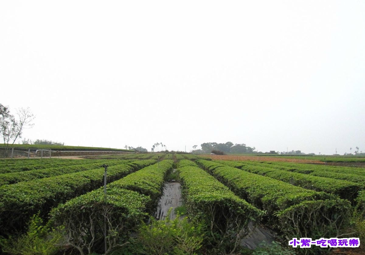 春秋茶事 (13).jpg