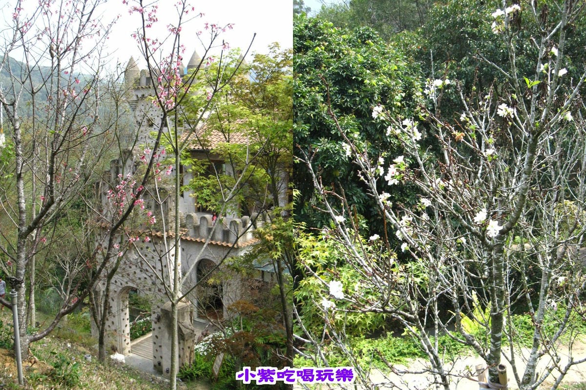 櫻花步道.jpg