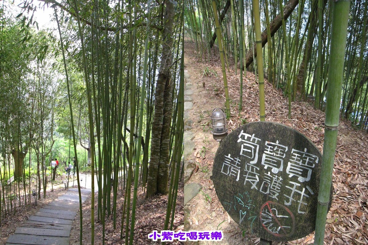 桂竹步道.jpg