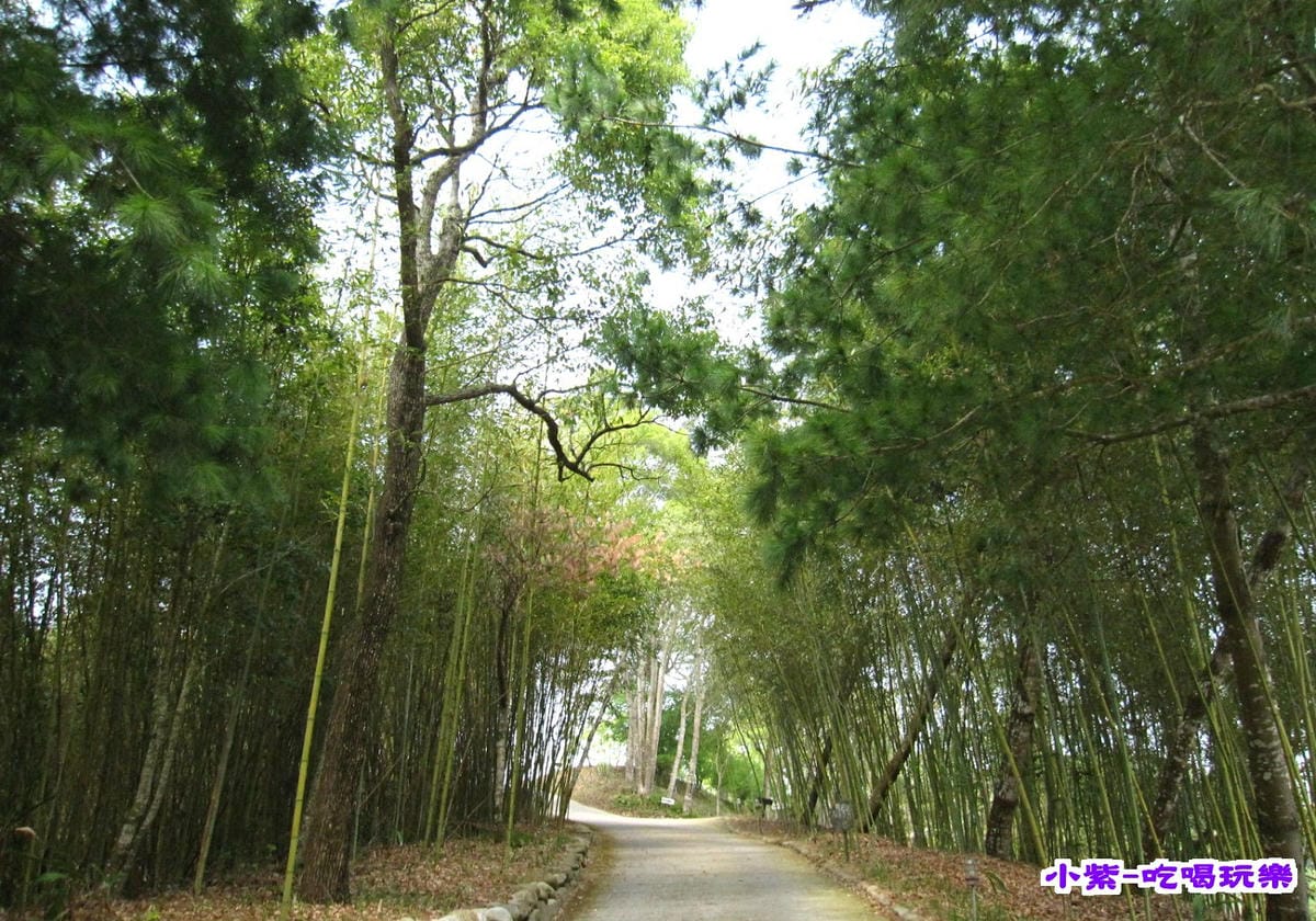 桂竹步道 (1).jpg