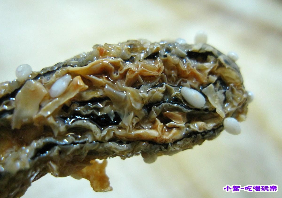 素丁香 (1).jpg