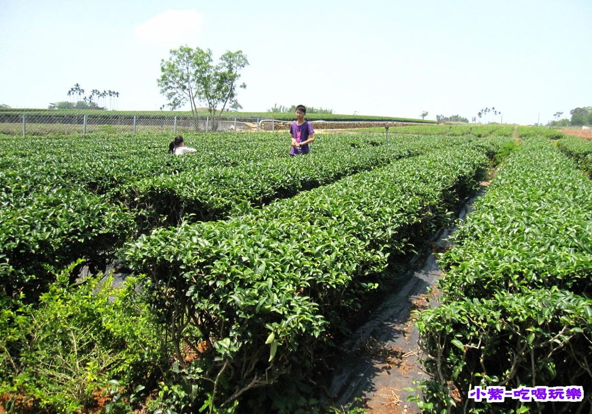 七星陣地公園.jpg