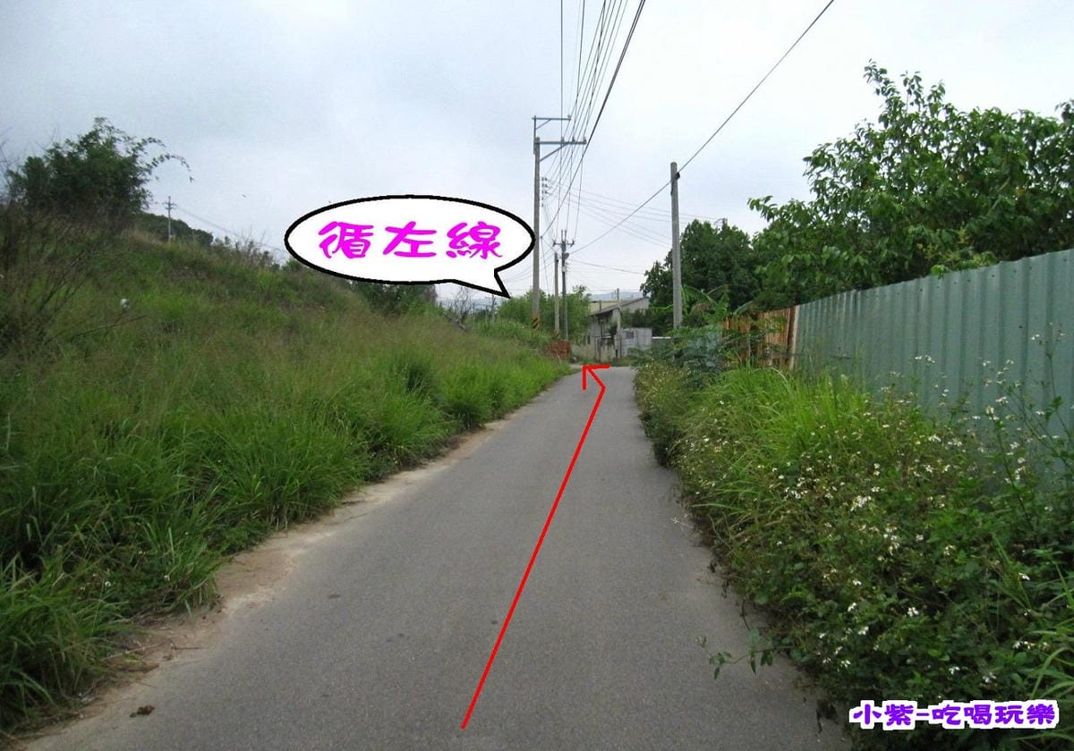 循左線 (1).jpg