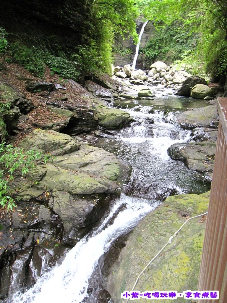 小烏來 (2).jpg