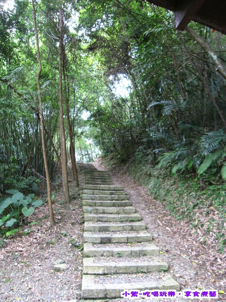 小烏來 (10).jpg