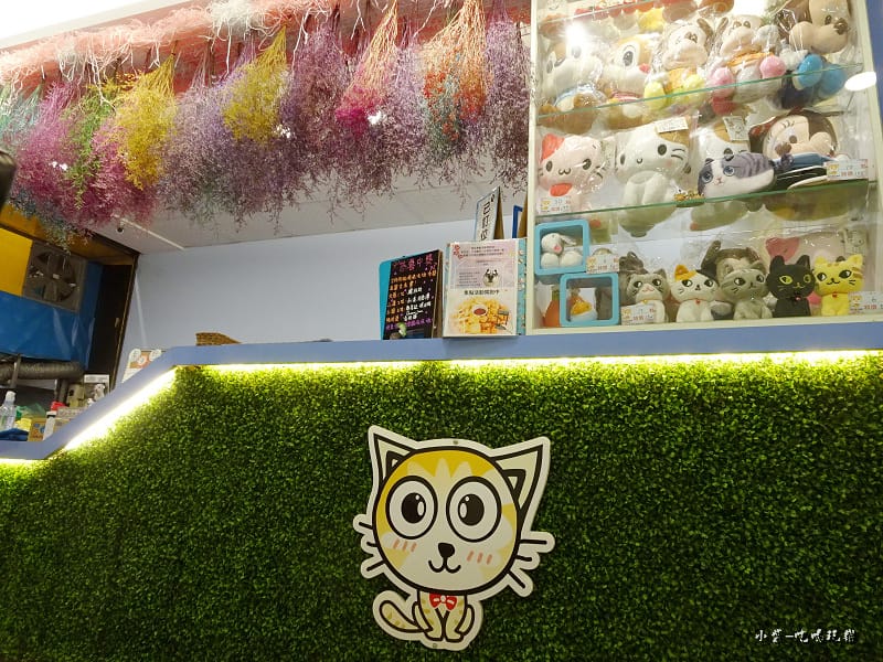 喵匠沙鹿靜宜店 (17)10.jpg