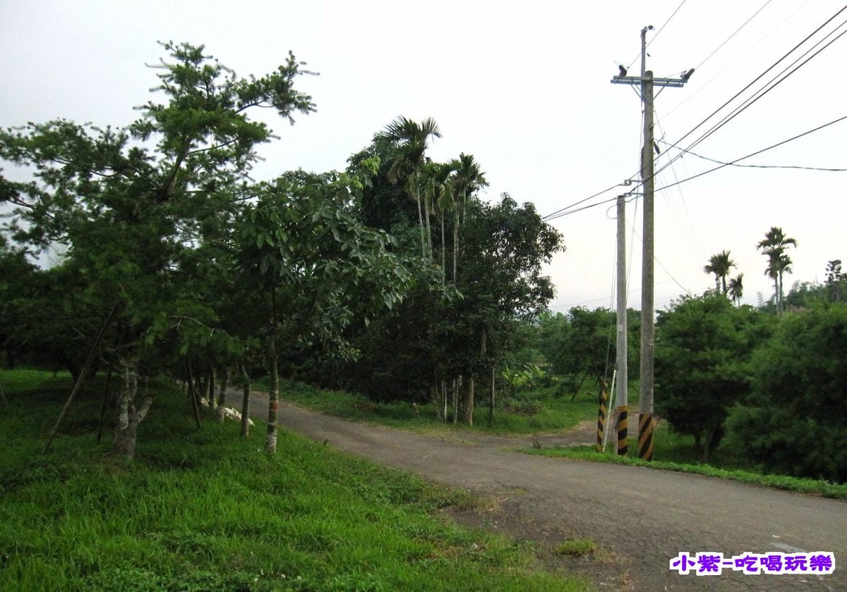 賞螢區 (3).jpg