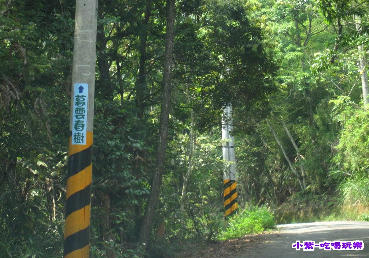 上山 (1).jpg