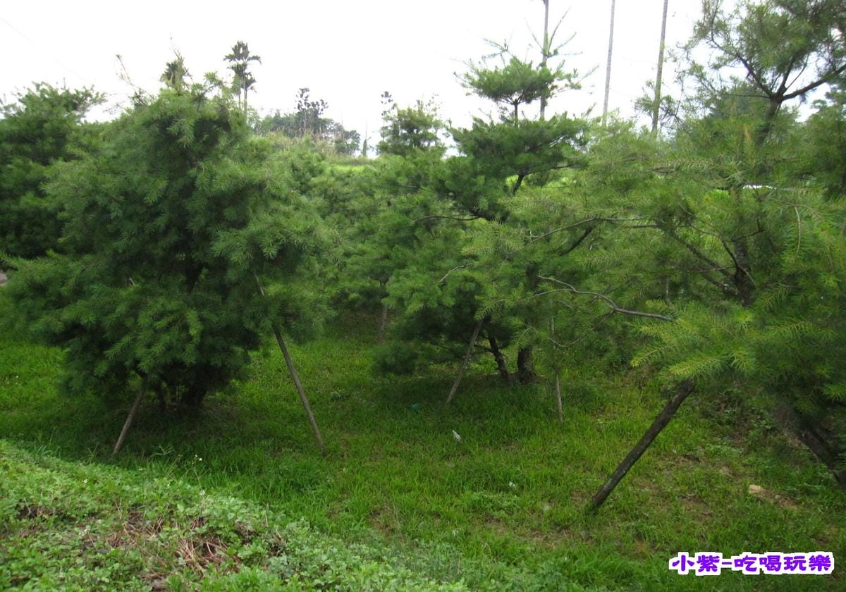 賞螢區 (2).jpg 賞螢區 (2).jpg