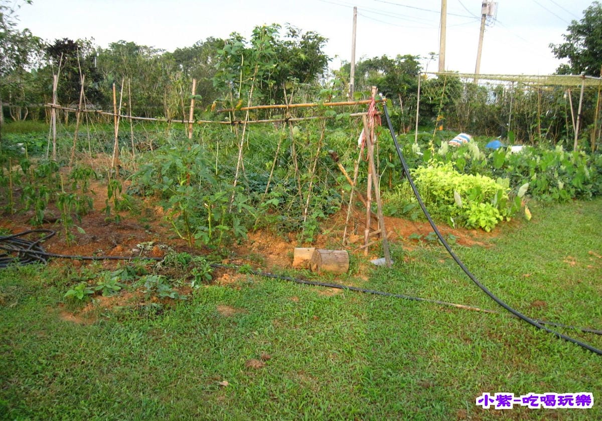 菜園 (1).jpg 菜園 (1).jpg