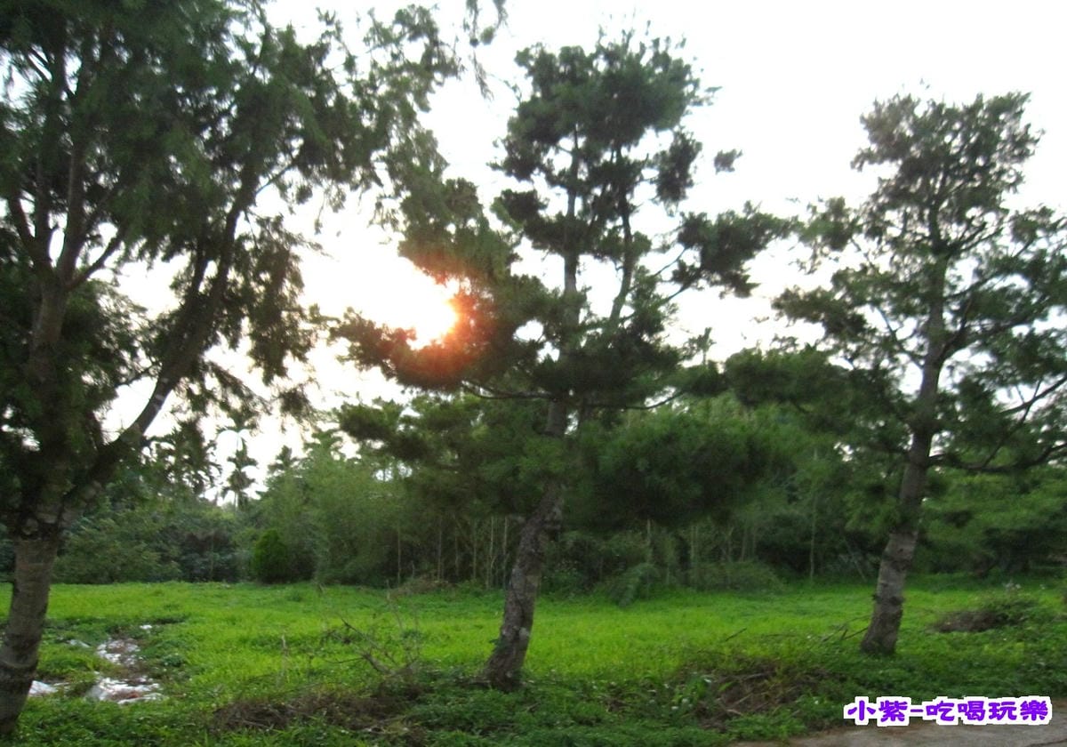 對面-新土地.jpg 對面-新土地.jpg