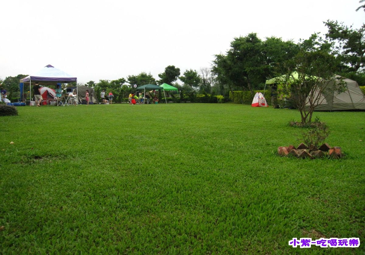 桃米香大草皮.jpg 桃米香大草皮.jpg